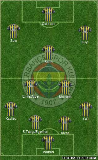 Fenerbahçe SK Formation 2013