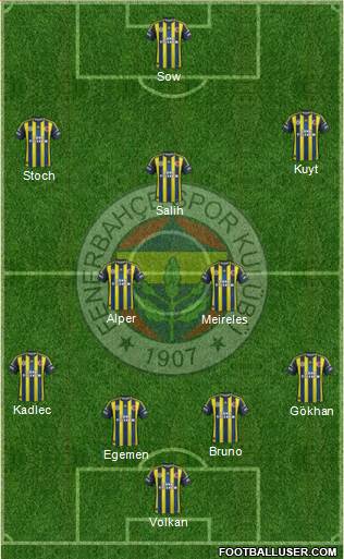 Fenerbahçe SK Formation 2013