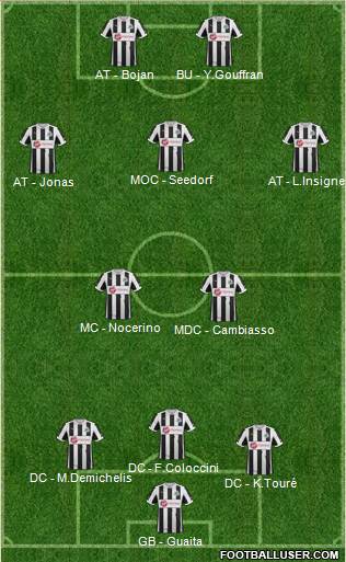 Newcastle United Formation 2013