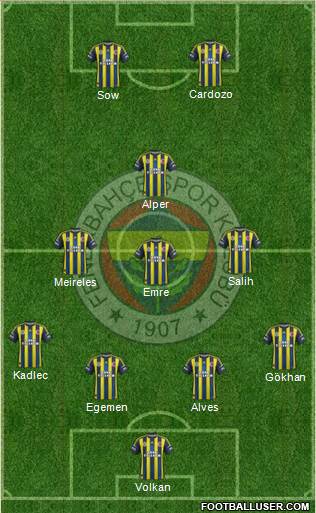 Fenerbahçe SK Formation 2013