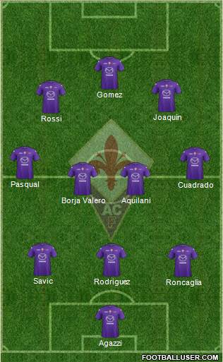 Fiorentina Formation 2013