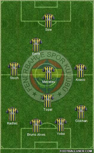 Fenerbahçe SK Formation 2013