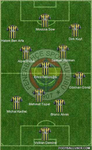 Fenerbahçe SK Formation 2013