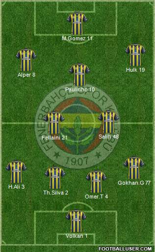 Fenerbahçe SK Formation 2013