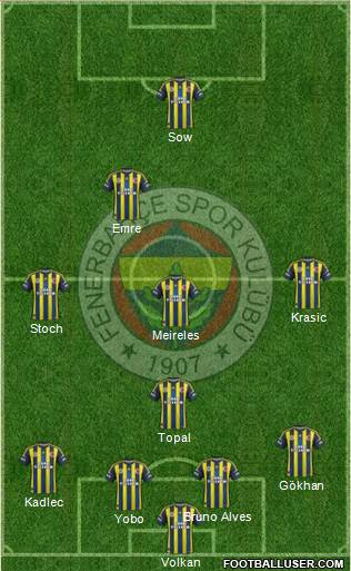Fenerbahçe SK Formation 2013