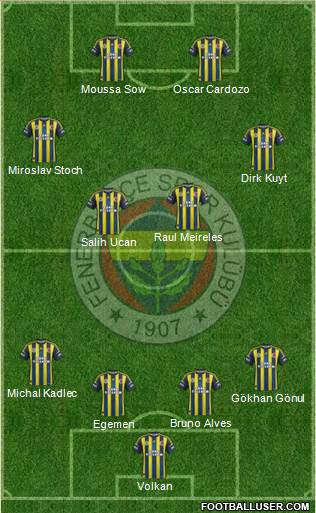 Fenerbahçe SK Formation 2013