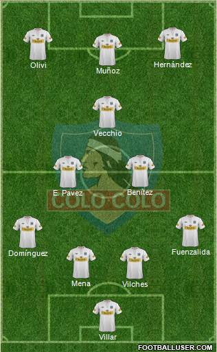 CSD Colo Colo Formation 2013