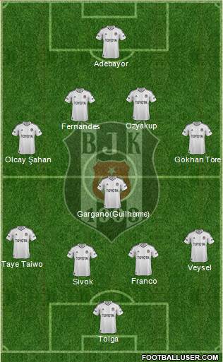Besiktas JK Formation 2013