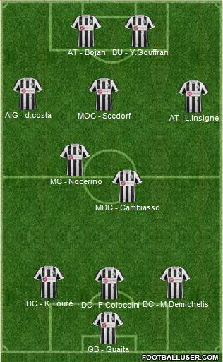 Newcastle United Formation 2013