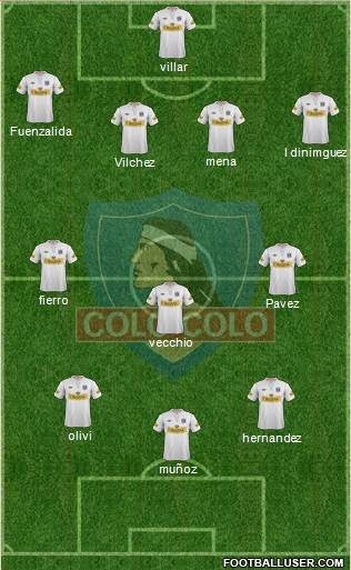CSD Colo Colo Formation 2013
