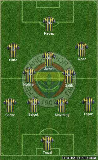 Fenerbahçe SK Formation 2013