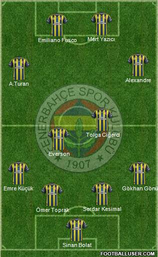Fenerbahçe SK Formation 2013