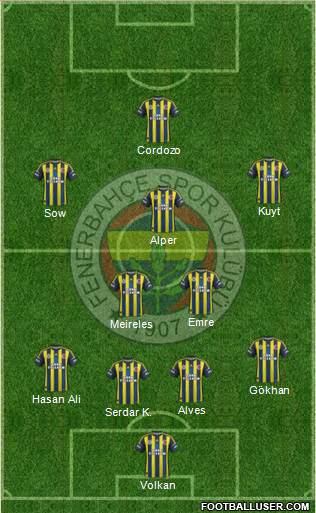 Fenerbahçe SK Formation 2013