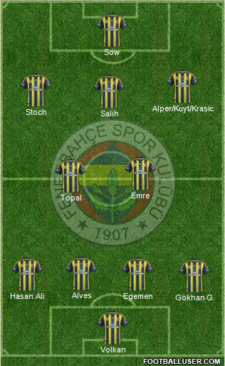 Fenerbahçe SK Formation 2013