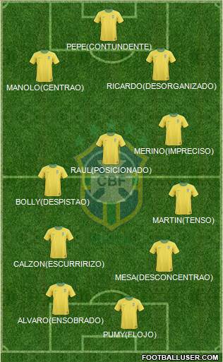 Brazil Formation 2013