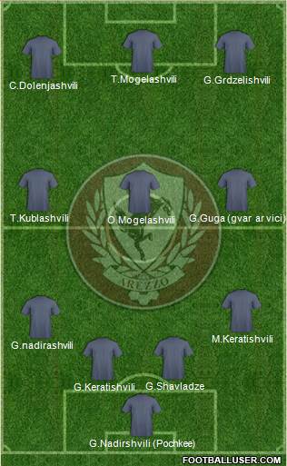 Arezzo Formation 2013