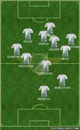 Moreirense Futebol Clube Formation 2013