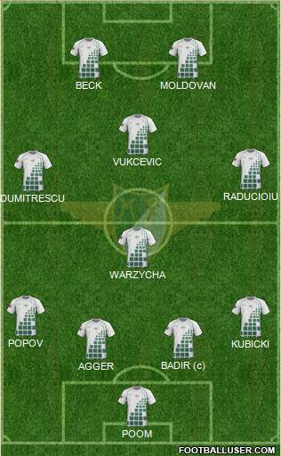 Moreirense Futebol Clube Formation 2013