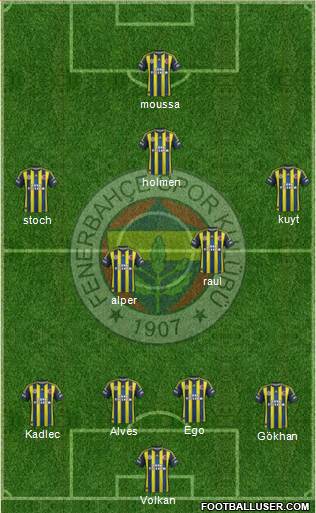 Fenerbahçe SK Formation 2013