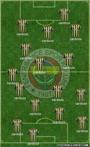 Fenerbahçe SK Formation 2013