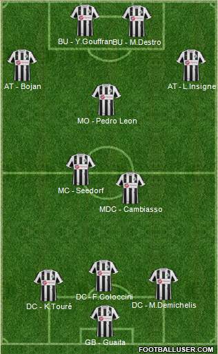 Newcastle United Formation 2013