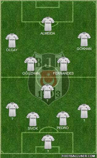 Besiktas JK Formation 2013