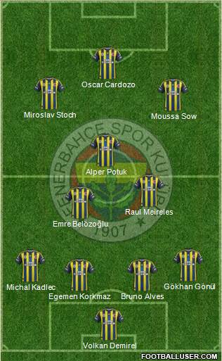 Fenerbahçe SK Formation 2013