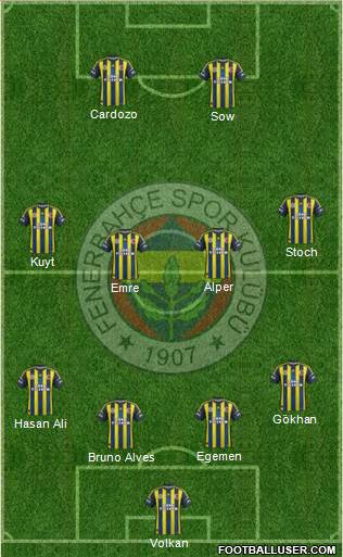 Fenerbahçe SK Formation 2013