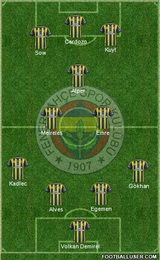 Fenerbahçe SK Formation 2013