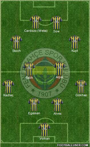 Fenerbahçe SK Formation 2013