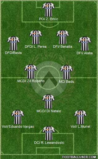 Udinese Formation 2013