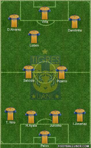 Club Universitario de Nuevo León Formation 2013