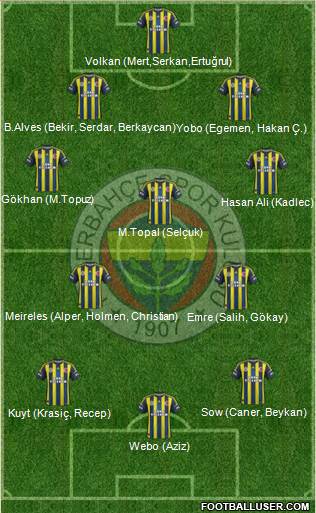 Fenerbahçe SK Formation 2013