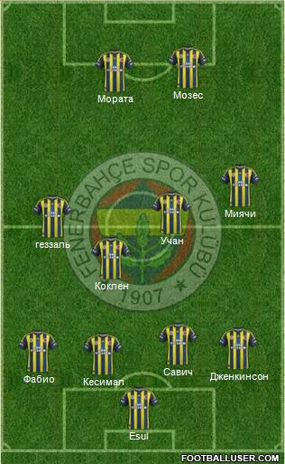 Fenerbahçe SK Formation 2013