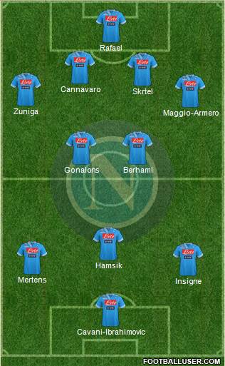 Napoli Formation 2013