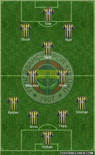 Fenerbahçe SK Formation 2013