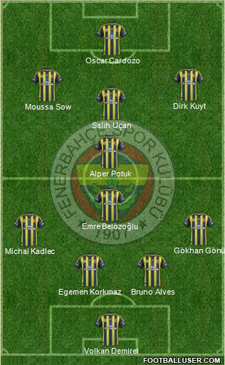 Fenerbahçe SK Formation 2013