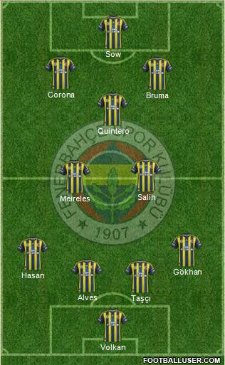 Fenerbahçe SK Formation 2013
