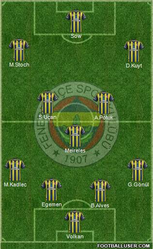 Fenerbahçe SK Formation 2013