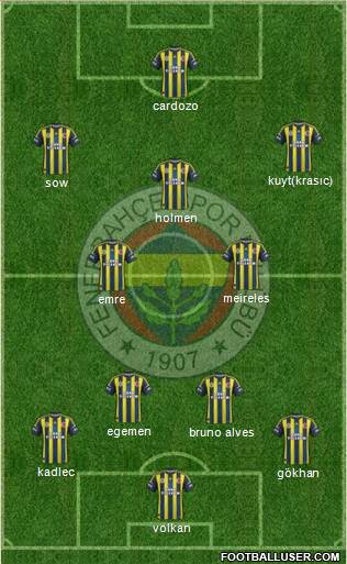 Fenerbahçe SK Formation 2013