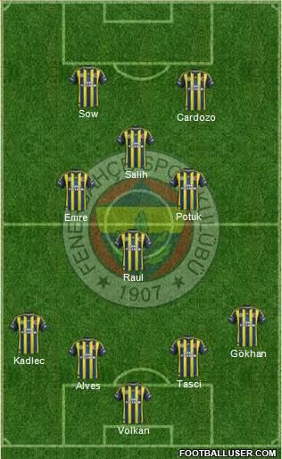 Fenerbahçe SK Formation 2013