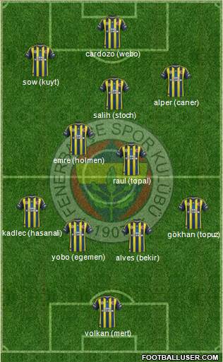 Fenerbahçe SK Formation 2013