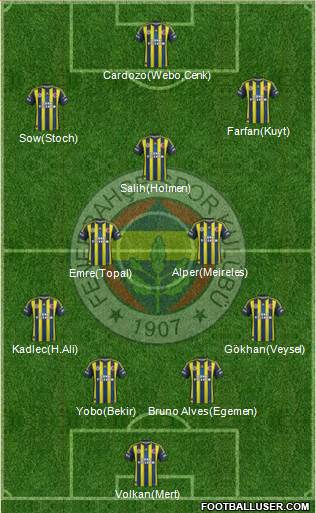 Fenerbahçe SK Formation 2013