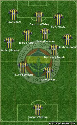 Fenerbahçe SK Formation 2013