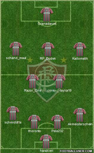 Fluminense FC Formation 2013