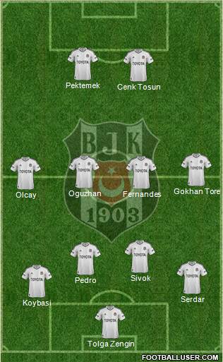Besiktas JK Formation 2013