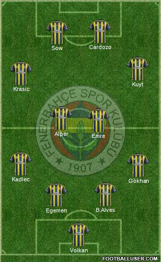 Fenerbahçe SK Formation 2013