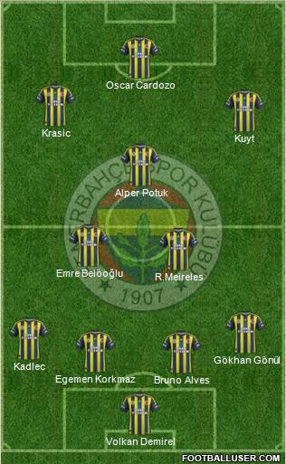 Fenerbahçe SK Formation 2013