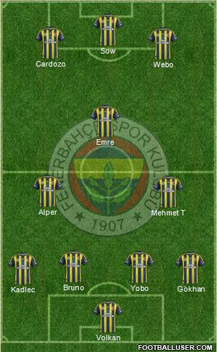 Fenerbahçe SK Formation 2013