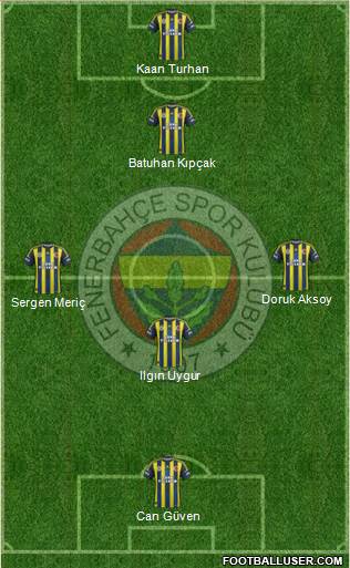 Fenerbahçe SK Formation 2013